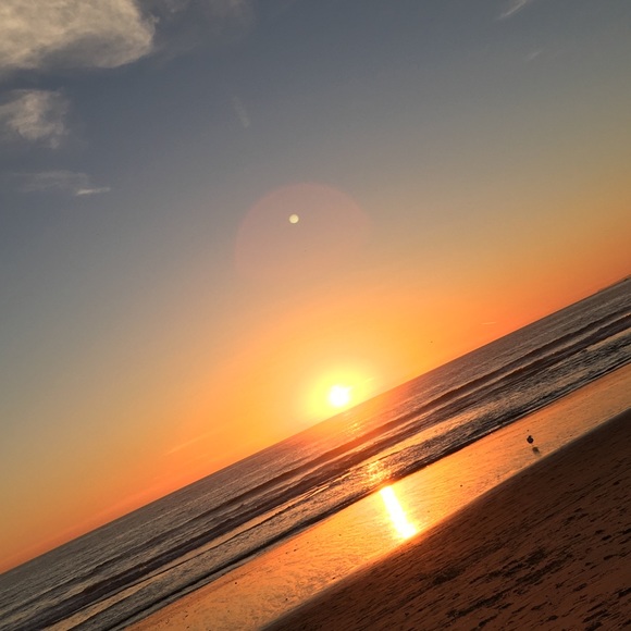 Meet your Posher, Cici - Picture 7 of 8